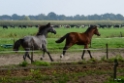 2017-09-19 Leenderheide